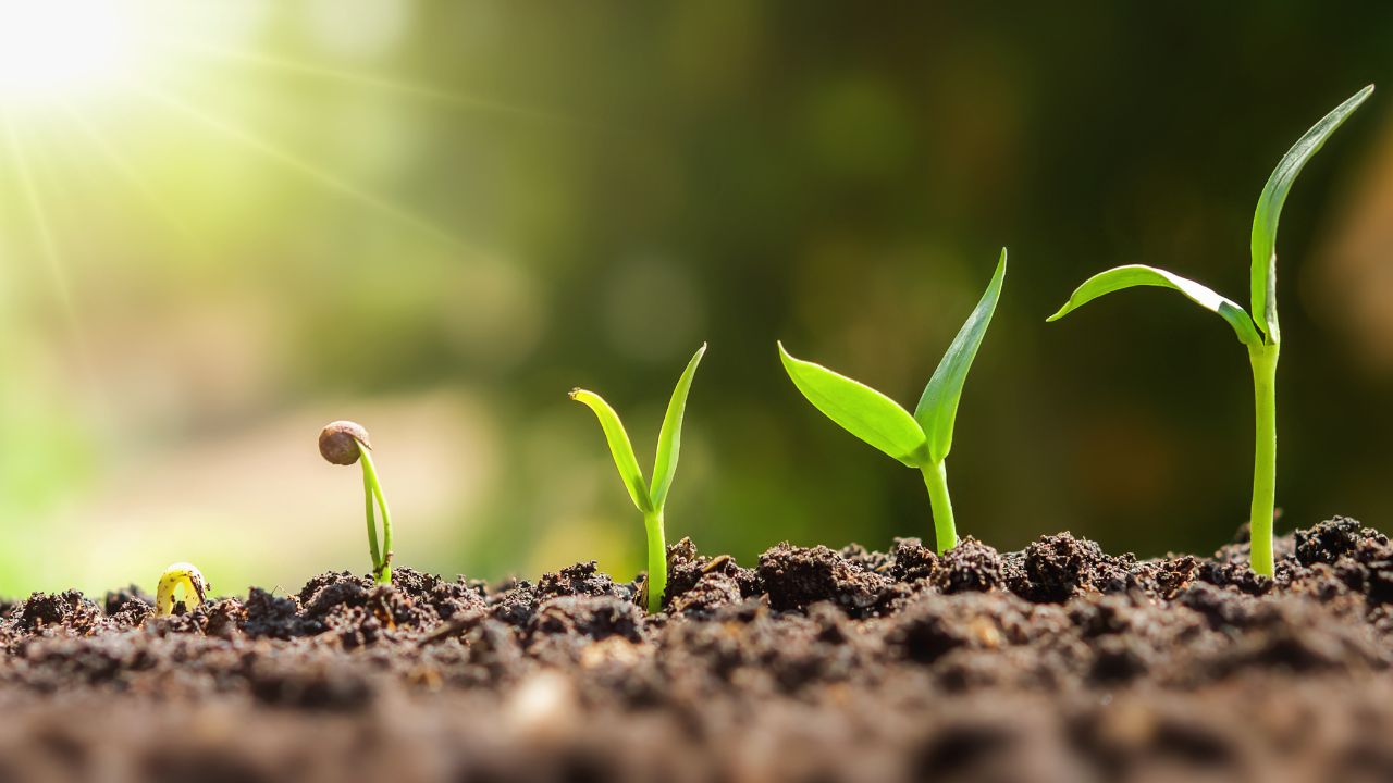 The 5 Steps for Self-Managing Your Property